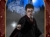 The-Wizarding-World-of-Harry-Potter